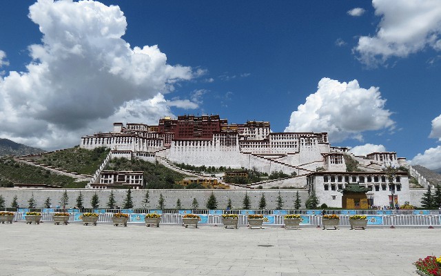 拼多多补单软件