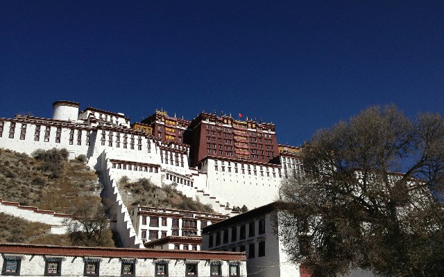 拼多多补单软件