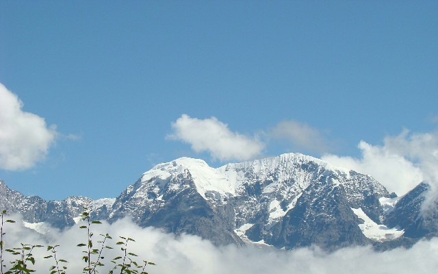 拼多多补单软件