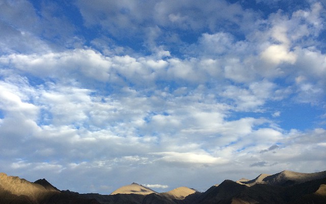 拼多多补单软件