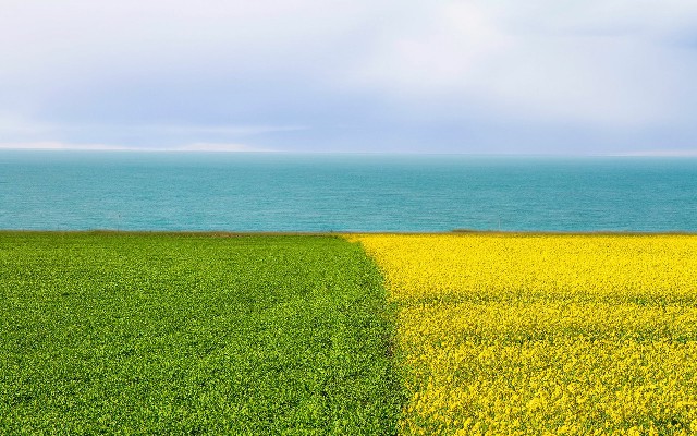 拼多多补单软件