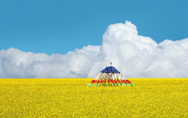 拼多多补单软件