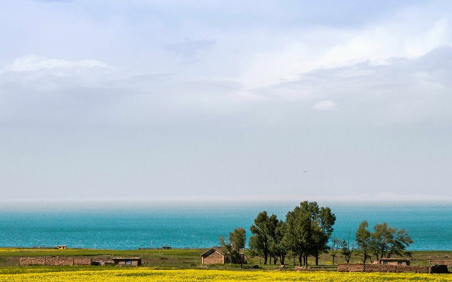 拼多多补单软件