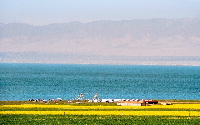 拼多多补单软件