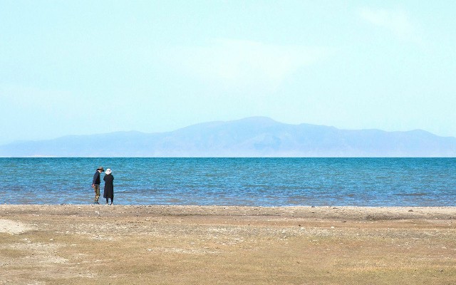 拼多多补单软件