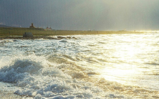 拼多多补单软件