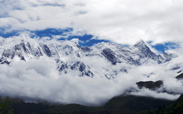 拼多多补单软件