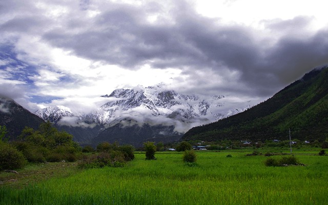 拼多多补单软件