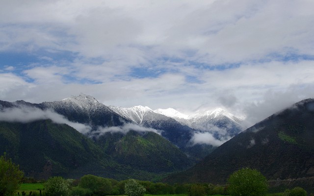 拼多多补单软件