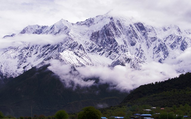 拼多多补单软件