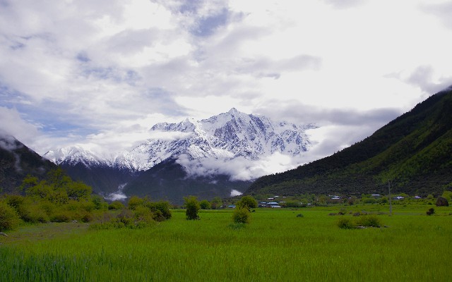 拼多多补单软件
