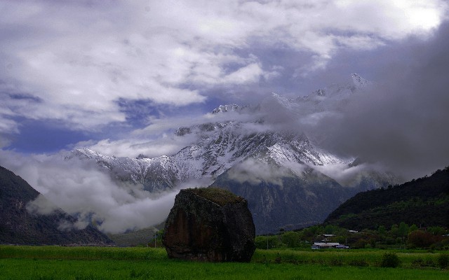 拼多多补单软件