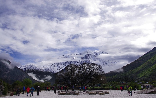 拼多多补单软件