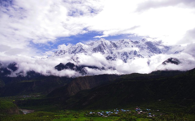 拼多多补单软件