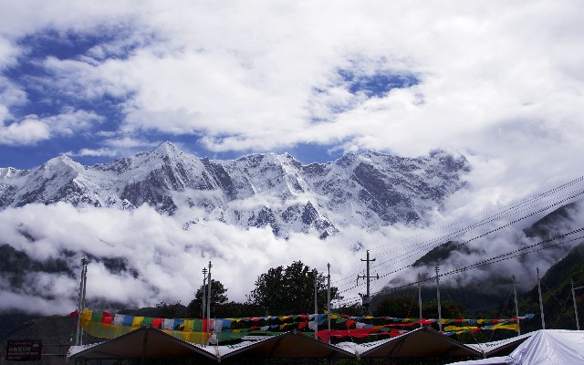 拼多多补单软件