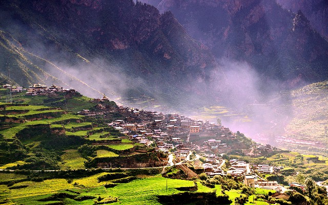 拼多多补单软件