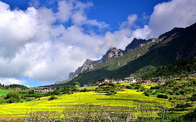 拼多多补单软件