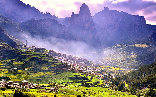 拼多多补单软件