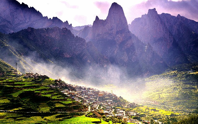 拼多多补单软件