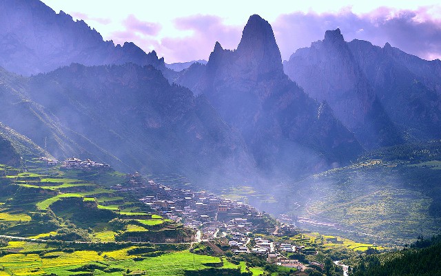 拼多多补单软件