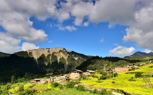 拼多多补单软件