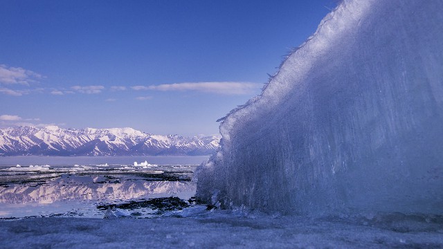 拼多多补单软件