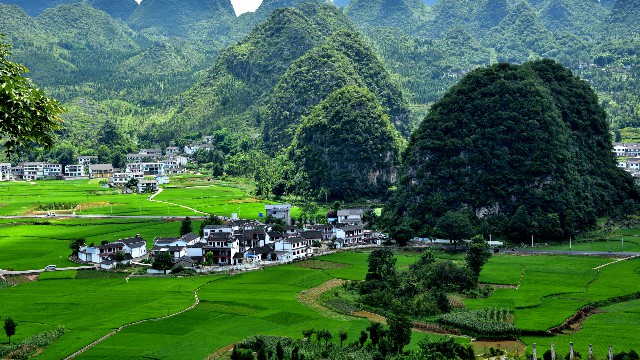 拼多多补单软件