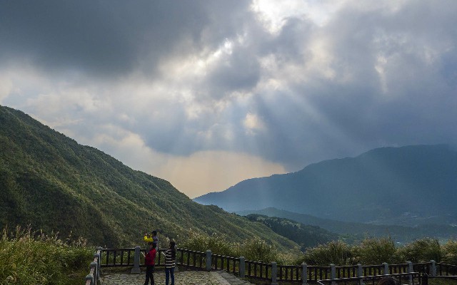 拼多多补单软件