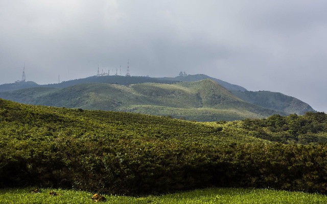 拼多多补单软件