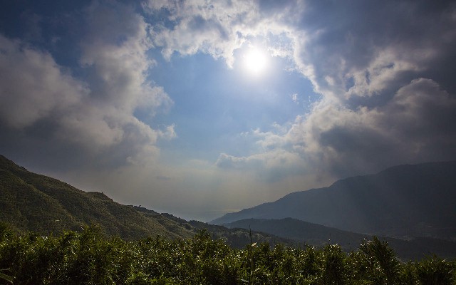 拼多多补单软件