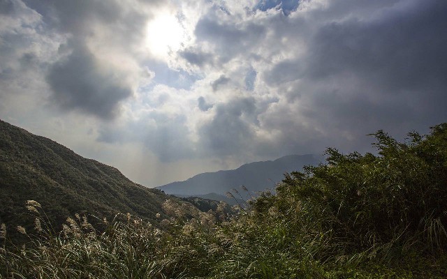 拼多多补单软件