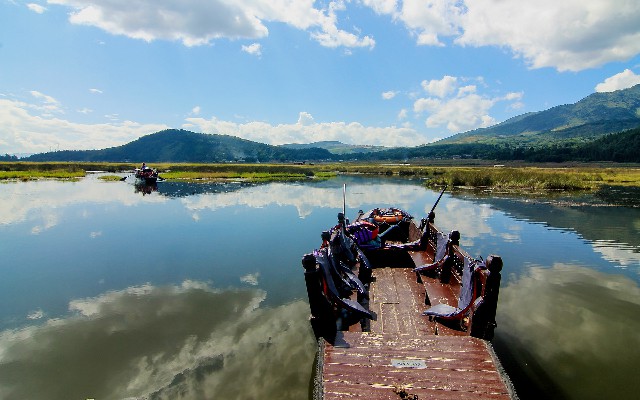 拼多多补单软件