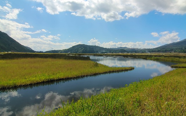 拼多多补单软件
