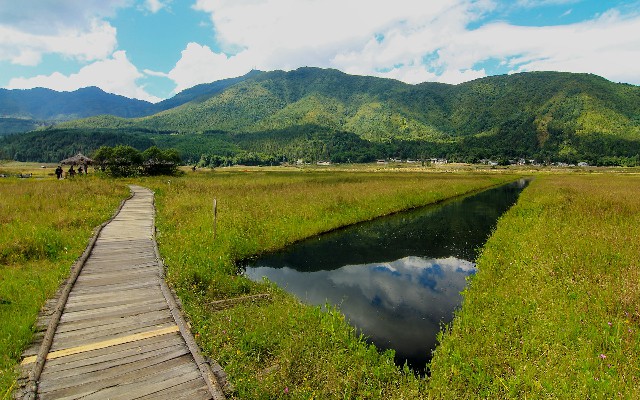 拼多多补单软件