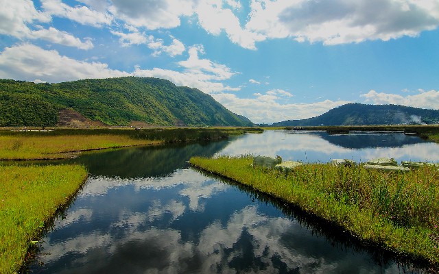 拼多多补单软件