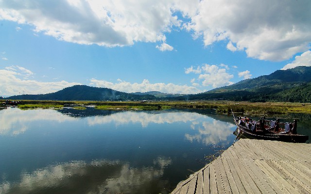 拼多多补单软件