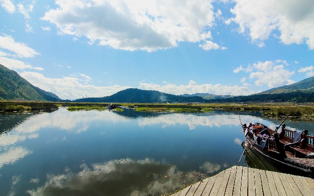 拼多多补单软件