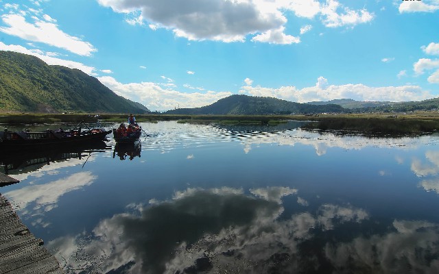 拼多多补单软件