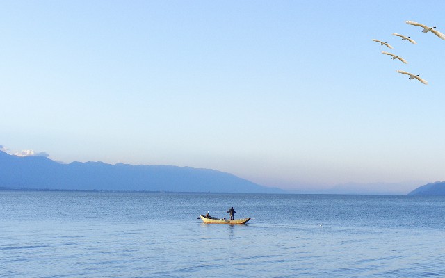 拼多多补单软件