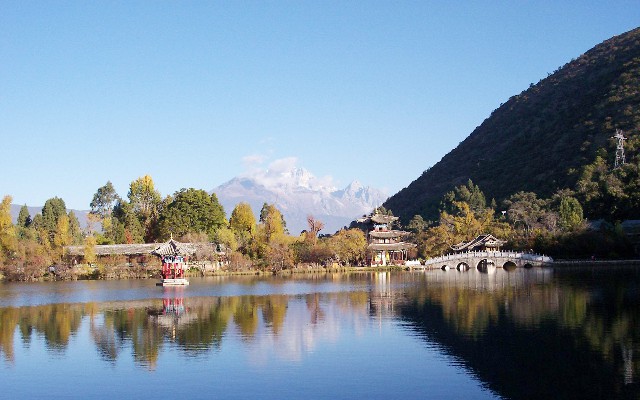 拼多多补单软件