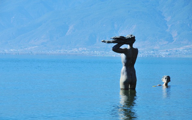 拼多多补单软件