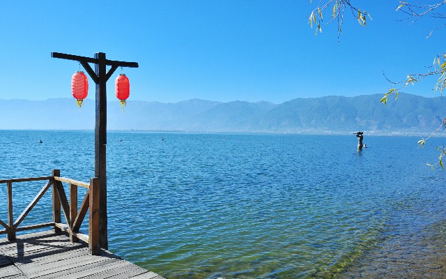 拼多多补单软件