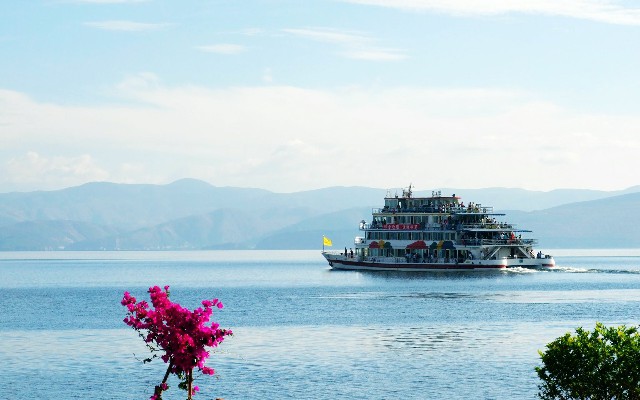 拼多多补单软件