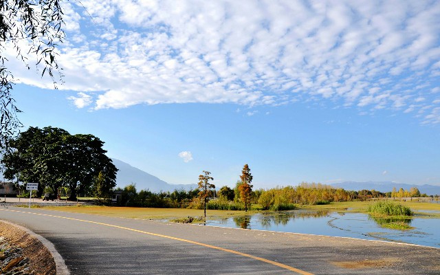 拼多多补单软件