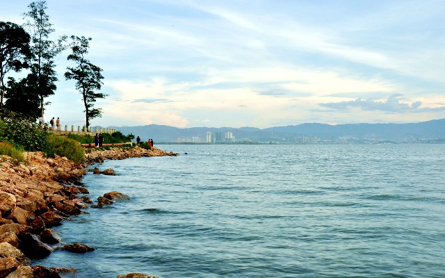 拼多多补单软件