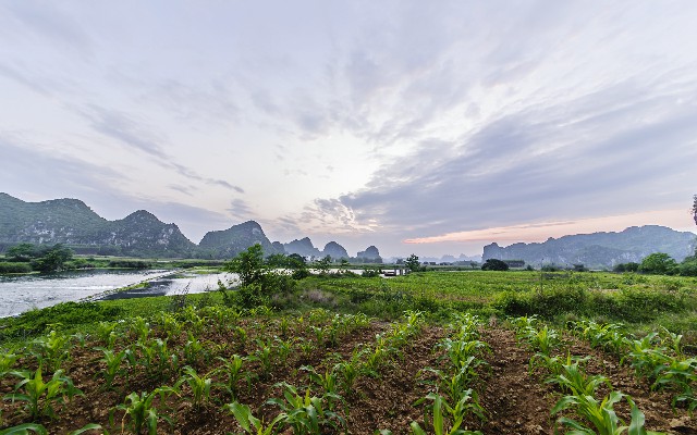 拼多多补单软件