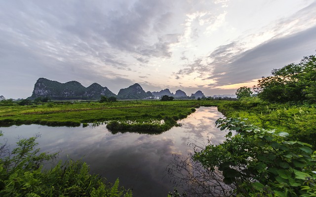 拼多多补单软件