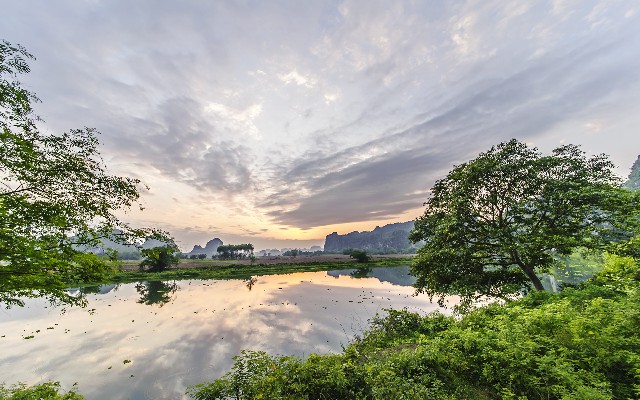 拼多多补单软件
