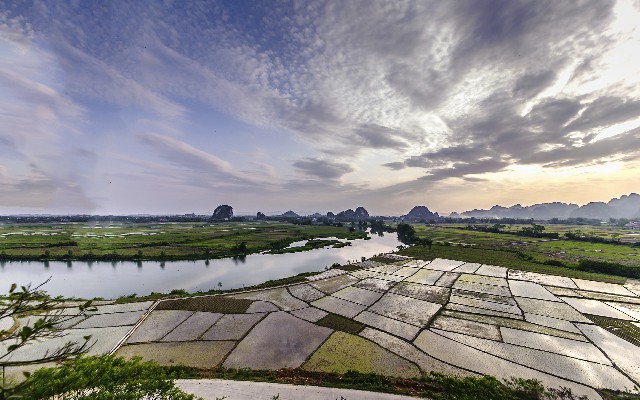 拼多多补单软件