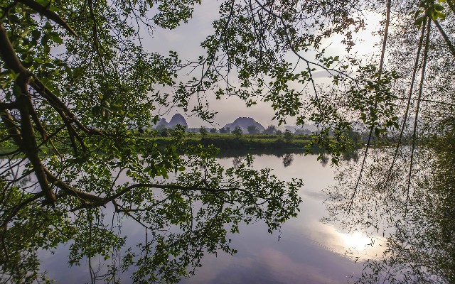 拼多多补单软件